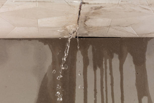 Professional Water Extraction technician working in Agua Dulce, CA